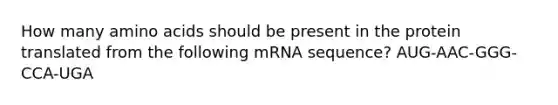 How many amino acids should be present in the protein translated from the following mRNA sequence? AUG-AAC-GGG-CCA-UGA