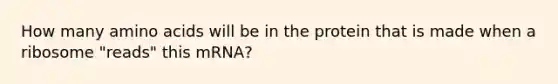 How many amino acids will be in the protein that is made when a ribosome "reads" this mRNA?