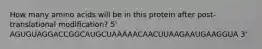 How many amino acids will be in this protein after post-translational modification? 5' AGUGUAGGACCGGCAUGCUAAAAACAACUUAAGAAUGAAGGUA 3'