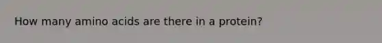 How many amino acids are there in a protein?