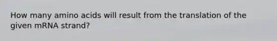 How many amino acids will result from the translation of the given mRNA strand?