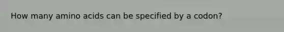How many <a href='https://www.questionai.com/knowledge/k9gb720LCl-amino-acids' class='anchor-knowledge'>amino acids</a> can be specified by a codon?