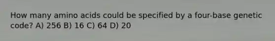 How many amino acids could be specified by a four-base genetic code? A) 256 B) 16 C) 64 D) 20