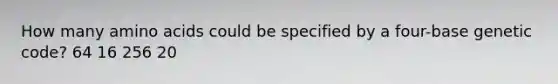 How many amino acids could be specified by a four-base genetic code? 64 16 256 20