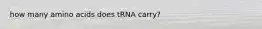 how many amino acids does tRNA carry?