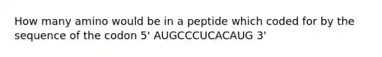 How many amino would be in a peptide which coded for by the sequence of the codon 5' AUGCCCUCACAUG 3'