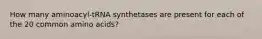 How many aminoacyl-tRNA synthetases are present for each of the 20 common amino acids?