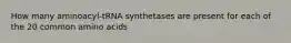 How many aminoacyl-tRNA synthetases are present for each of the 20 common amino acids