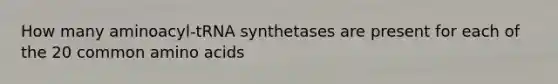 How many aminoacyl-tRNA synthetases are present for each of the 20 common amino acids