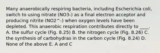 Many anaerobically respiring bacteria, including Escherichia coli, switch to using nitrate (NO3-) as a final electron acceptor and producing nitrite (NO2^-) when oxygen levels have been depleted. This anaerobic respiration contributes directly to ____. A. the sulfur cycle (Fig. 8.25) B. the nitrogen cycle (Fig. 8.26) C. the synthesis of carbohydras in the carbon cycle (Fig. 8.24) D. None of the above E. A and C