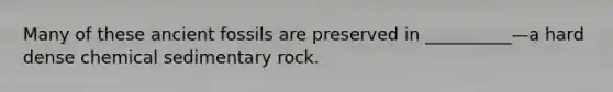 Many of these ancient fossils are preserved in __________—a hard dense chemical sedimentary rock.