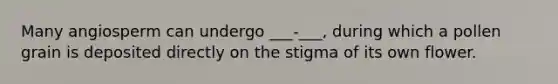 Many angiosperm can undergo ___-___, during which a pollen grain is deposited directly on the stigma of its own flower.