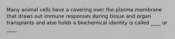 Many animal cells have a covering over the plasma membrane that draws out immune responses during tissue and organ transplants and also holds a biochemical identity is called ____ or ____