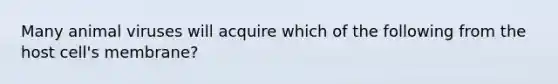 Many animal viruses will acquire which of the following from the host cell's membrane?