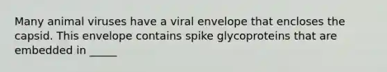 Many animal viruses have a viral envelope that encloses the capsid. This envelope contains spike glycoproteins that are embedded in _____