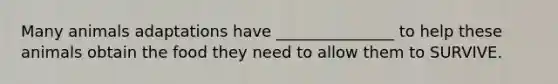 Many animals adaptations have _______________ to help these animals obtain the food they need to allow them to SURVIVE.