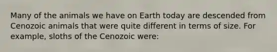 Many of the animals we have on Earth today are descended from Cenozoic animals that were quite different in terms of size. For example, sloths of the Cenozoic were: