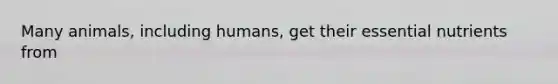 Many animals, including humans, get their essential nutrients from