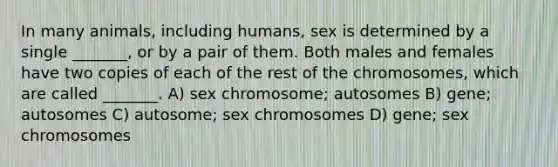 In many animals, including humans, sex is determined by a single _______, or by a pair of them. Both males and females have two copies of each of the rest of the chromosomes, which are called _______. A) sex chromosome; autosomes B) gene; autosomes C) autosome; sex chromosomes D) gene; sex chromosomes