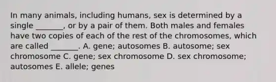 In many animals, including humans, sex is determined by a single _______, or by a pair of them. Both males and females have two copies of each of the rest of the chromosomes, which are called _______. A. gene; autosomes B. autosome; sex chromosome C. gene; sex chromosome D. sex chromosome; autosomes E. allele; genes