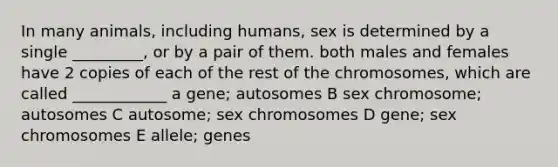 In many animals, including humans, sex is determined by a single _________, or by a pair of them. both males and females have 2 copies of each of the rest of the chromosomes, which are called ____________ a gene; autosomes B sex chromosome; autosomes C autosome; sex chromosomes D gene; sex chromosomes E allele; genes