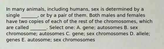 In many animals, including humans, sex is determined by a single _______, or by a pair of them. Both males and females have two copies of each of the rest of the chromosomes, which are called _______. Select one: A. gene; autosomes B. sex chromosome; autosomes C. gene; sex chromosomes D. allele; genes E. autosome; sex chromosomes