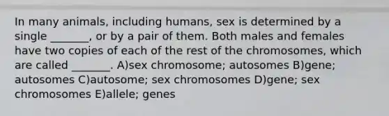 In many animals, including humans, sex is determined by a single _______, or by a pair of them. Both males and females have two copies of each of the rest of the chromosomes, which are called _______. A)sex chromosome; autosomes B)gene; autosomes C)autosome; sex chromosomes D)gene; sex chromosomes E)allele; genes