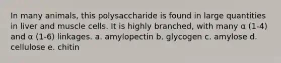 In many animals, this polysaccharide is found in large quantities in liver and muscle cells. It is highly branched, with many α (1-4) and α (1-6) linkages. a. amylopectin b. glycogen c. amylose d. cellulose e. chitin