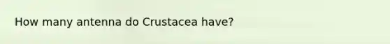 How many antenna do Crustacea have?