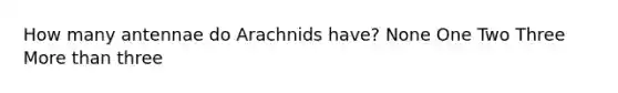 How many antennae do Arachnids have? None One Two Three <a href='https://www.questionai.com/knowledge/keWHlEPx42-more-than' class='anchor-knowledge'>more than</a> three