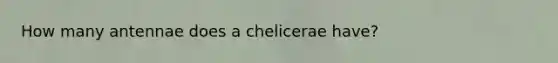 How many antennae does a chelicerae have?