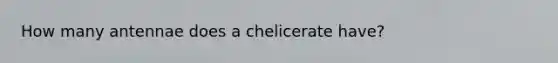 How many antennae does a chelicerate have?