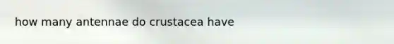 how many antennae do crustacea have