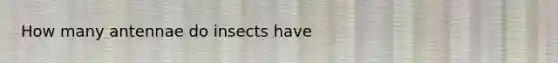 How many antennae do insects have