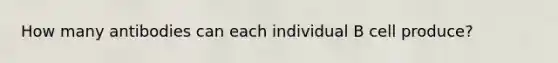 How many antibodies can each individual B cell produce?