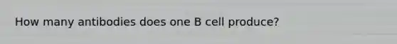 How many antibodies does one B cell produce?