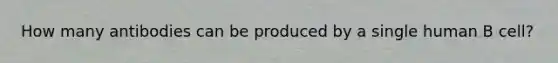 How many antibodies can be produced by a single human B cell?