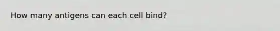 How many antigens can each cell bind?