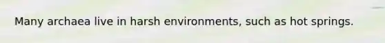 Many archaea live in harsh environments, such as hot springs.
