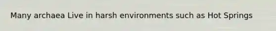 Many archaea Live in harsh environments such as Hot Springs