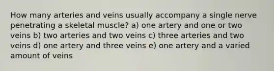 How many arteries and veins usually accompany a single nerve penetrating a skeletal muscle? a) one artery and one or two veins b) two arteries and two veins c) three arteries and two veins d) one artery and three veins e) one artery and a varied amount of veins