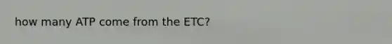 how many ATP come from the ETC?