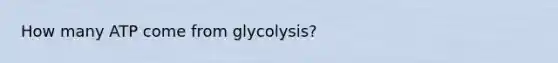 How many ATP come from glycolysis?