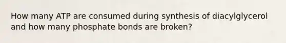 How many ATP are consumed during synthesis of diacylglycerol and how many phosphate bonds are broken?