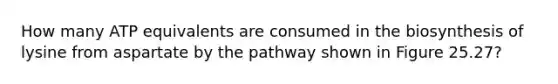 How many ATP equivalents are consumed in the biosynthesis of lysine from aspartate by the pathway shown in Figure 25.27?