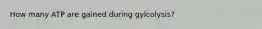 How many ATP are gained during gylcolysis?