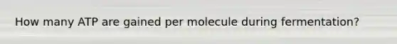 How many ATP are gained per molecule during fermentation?