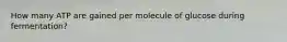 How many ATP are gained per molecule of glucose during fermentation?