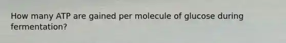 How many ATP are gained per molecule of glucose during fermentation?