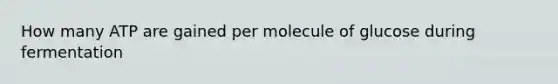 How many ATP are gained per molecule of glucose during fermentation